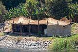 Life on the Nile March 2023